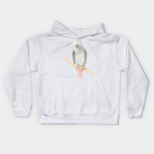 gris d'Afrique watercolor african grey parrot Kids Hoodie